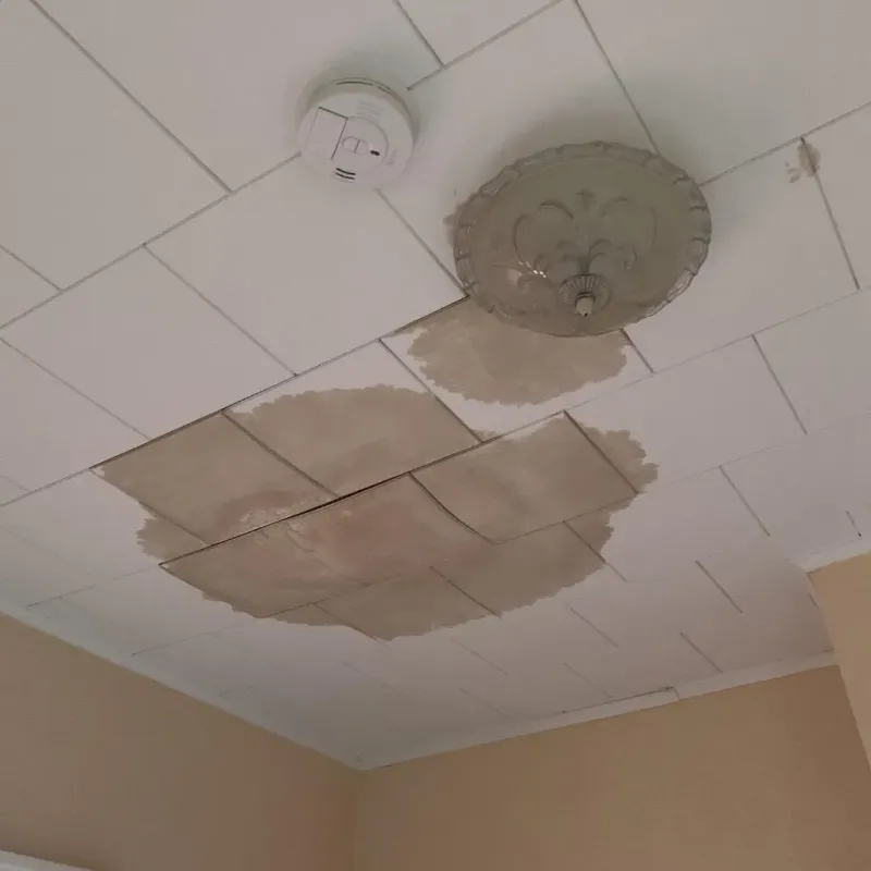 Ceiling Water Damage Repair in Saginaw County, MI
