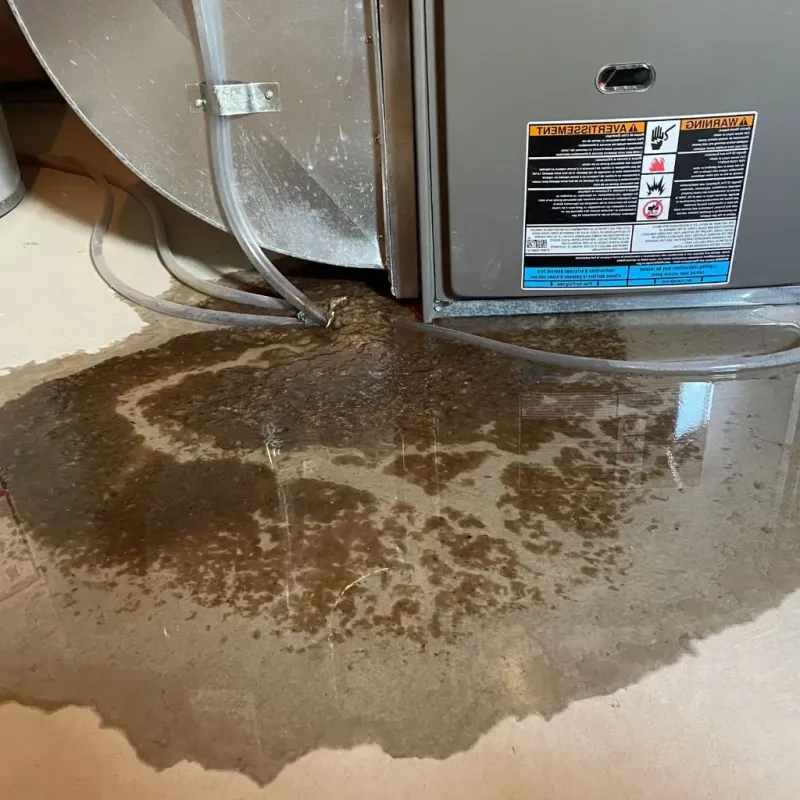 Pipe Burst and Leak Restoration in Saginaw County, MI