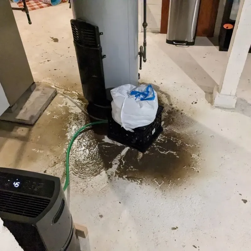 Sewage Backup Cleanup Service in Saginaw County, MI